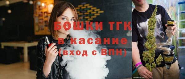 тгк Елизово