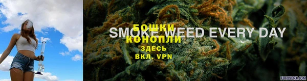 тгк Елизово