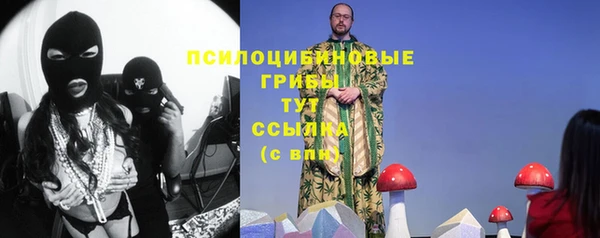 гашик Елабуга