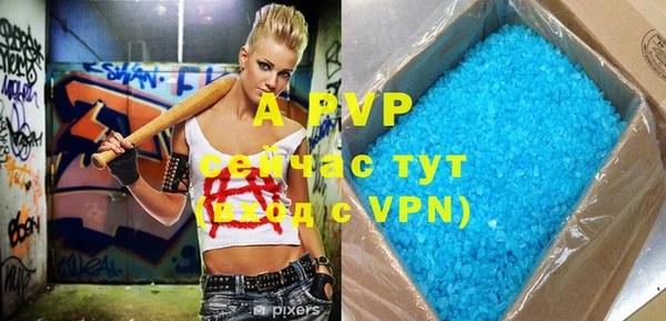 дурь Ельня