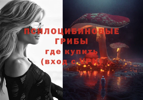 каннабис Дмитров