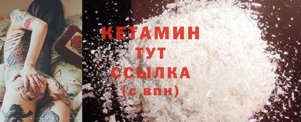 дурь Ельня