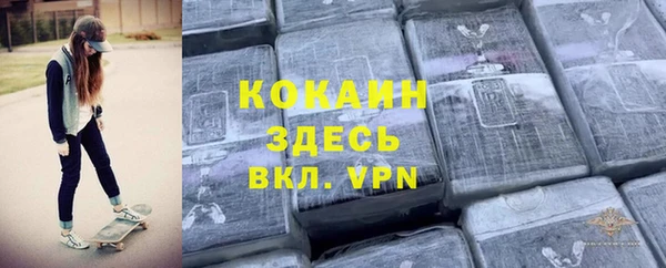 дурь Ельня